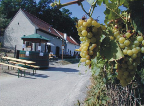 Kellergasse, Foto vom Gasthaus Gusenbauer - Astrid Michaela Wagensonner